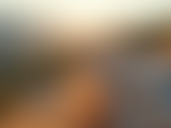 Beautifully constructed dry stone wall showcasing intricate craftsmanship.