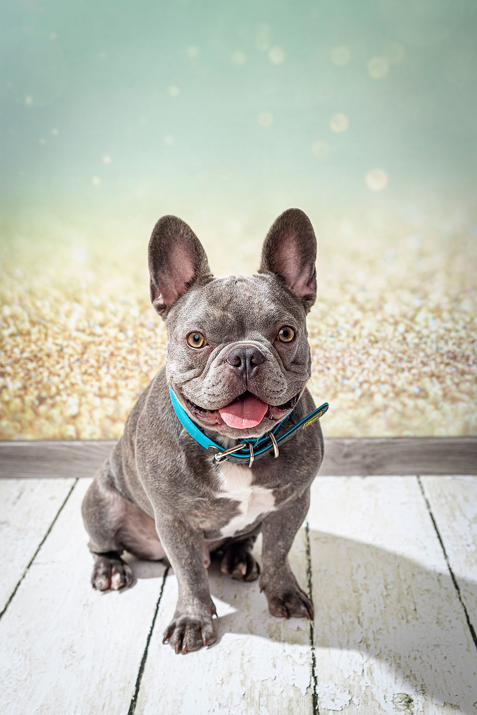 Pei_Photography_Portrait