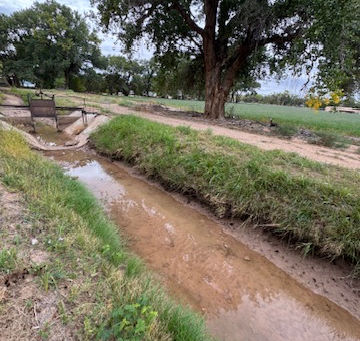Acequia Walk & Talk Caminata & Charla