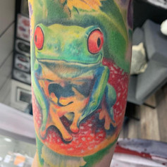 Colourful Frog Tattoo
