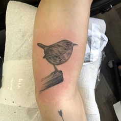 Small Bird on branch tattoo
