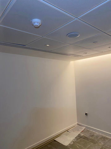 Painted office space
