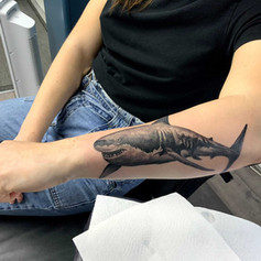 Tattoo of great white shark