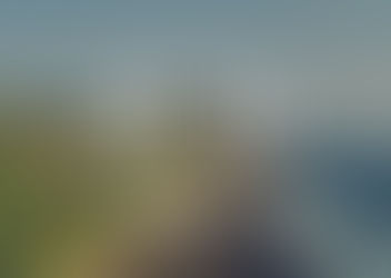 夏休みのお知らせ