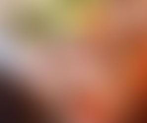 サロンのインテリア