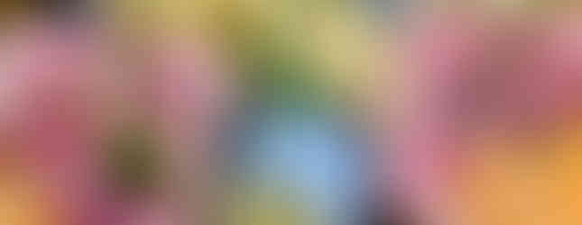 cardapio restaurante Mestizo Santiago Chile