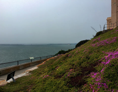 foggy view of ocean from the lighthouse