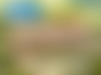 Baja Greece itinerary revealed