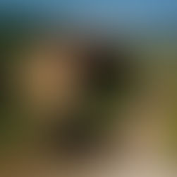 Press Release No.2 - The Stages