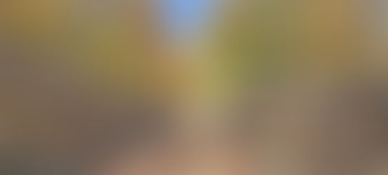 2023 Rally Greece Offroad kicks off!