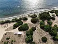 Wohnmobil an einem Strandabschnitt zur Vermietung
