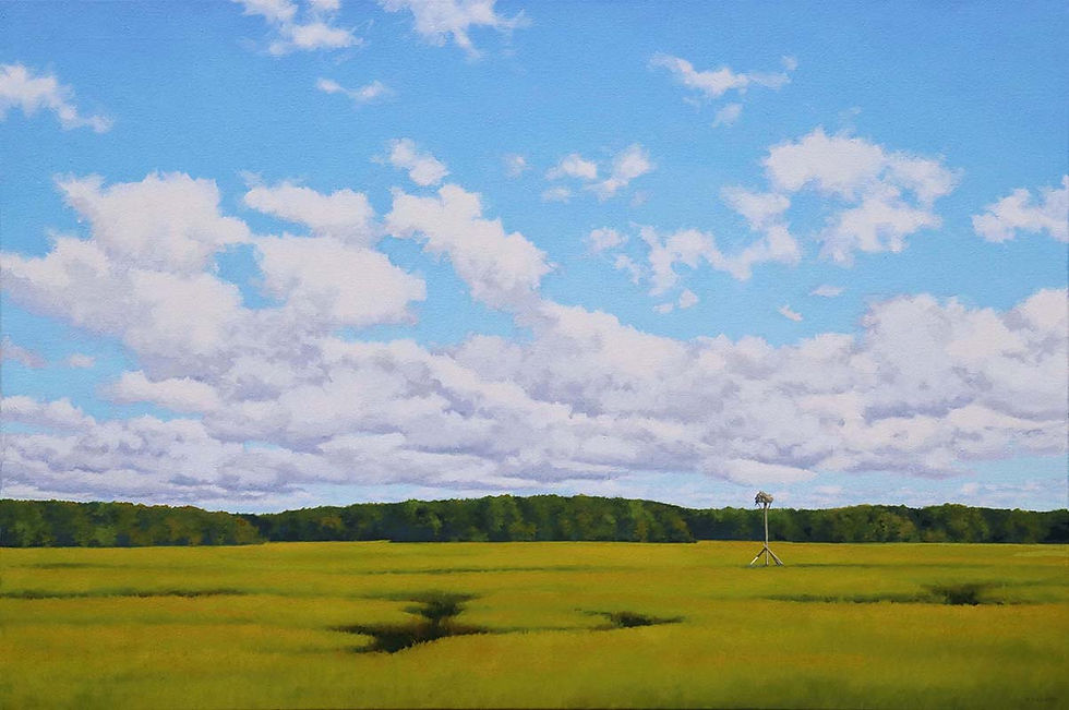 Marsh morning