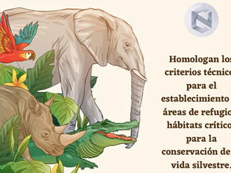 POR UNANIMIDAD, AVALAN REFORMA EN MATERIA DE HÁBITATS CRÍTICOS PARA CONSERVACION DE VIDA SILVESTRE