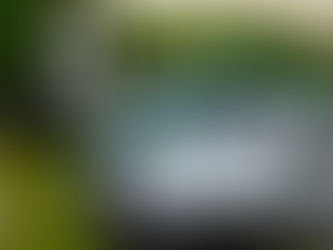 LA OMT ASEGURA QUE EL TREN MAYA TRIPLICARÁ EL TURISMO EN LA ZONA SUR DEL PAÍS