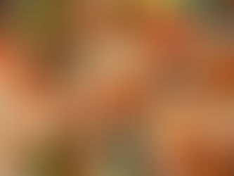 AVALAN EXPEDIR LEY FEDERAL DE FOMENTO A LA COCINA MEXICANA