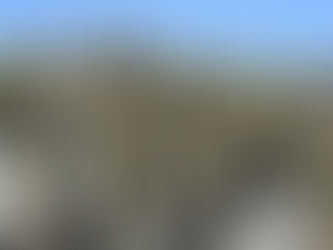 AVALA COMISIÓN DE MARINA DICTAMEN POR EL QUE SE EXPIDE LA LEY ORGÁNICA DE LA ARMADA DE MÉXICO