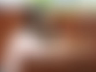 COMISIÓN ESPECIAL ENTREGA INFORME SOBRE DENUNCIA DE JUICIO POLÍTICO CONTRA TITULAR DE LA CEDH