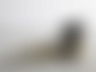 PERMISOS CON GOCE DE SUELDO PARA APOYAR EDUCACIÓN A DISTANCIA