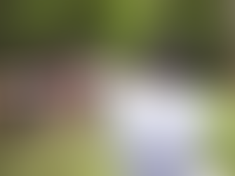 PROPONE ELIMINAR ESTATUS LEGAL DE LA CAZA DEPORTIVA EN MÉXICO