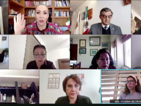 SOLICITAN INFORMA SOBRE ACCIONES ENFOCADAS A ADULTOS MAYORES DURANTE LA EMERGENCIA SANITARIA