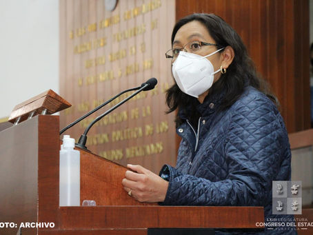 PROPONE MA. DEL RAYO NETZAHUATL REFORMA CONSTITUCIONAL EN MATERIA EDUCATIVA