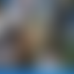 4º Ano | Lab. de Ciências: Estudando os Líquens