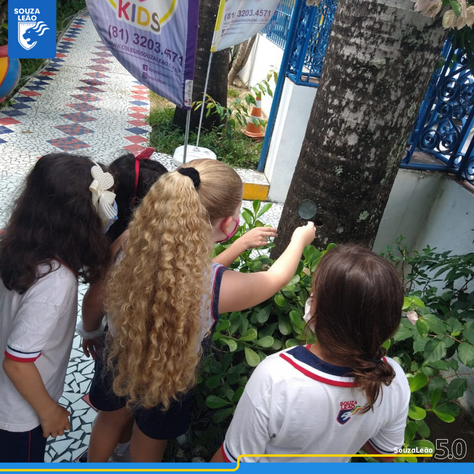 4º Ano | Lab. de Ciências: Estudando os Líquens