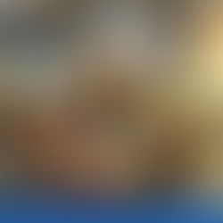 2º T1 | Aula de Campo no Shopping Guararapes