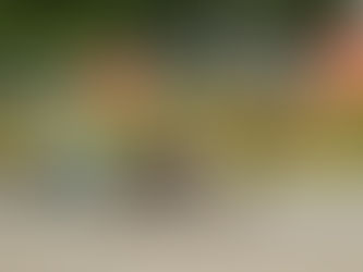 Iame Series Benelux Round 3