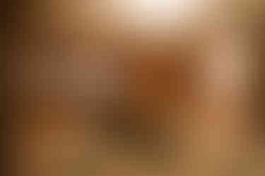 Lower level bedroom with murphy bed - PGC Building + Design