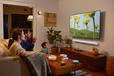 Sonos Home Entertainment System