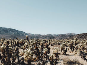 September, here we go!