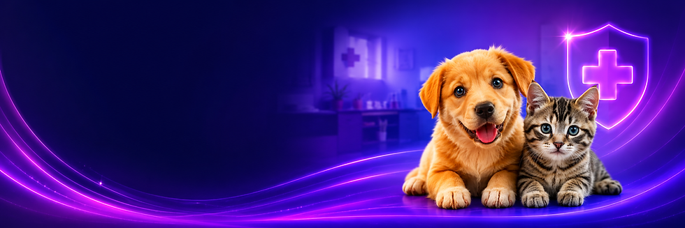 fondo banner.png