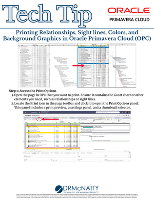 Tech Tip - Printing Relationships, Sight Lines, Colors, and Background Graphics in Oracle Primavera Cloud (OPC)