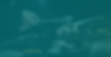 Blue and White Modern Finance Banner (3).png