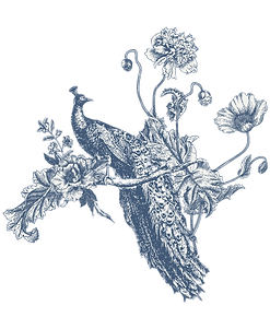 Toile-Sagrada-web-1.png