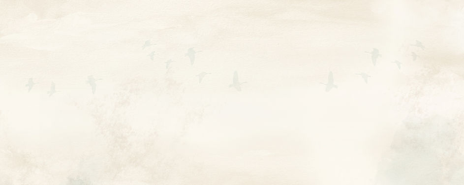 fondo web 1.jpg