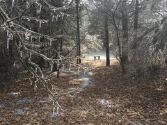 Winter Wonderland at Skete: Week One