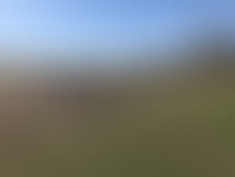 Preparing our garden for next year! Thank you to the ROCK youth group from Holy Trinity for all your