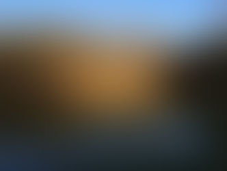 Monastic Tips for Self-Isolation:     Trees by the Water