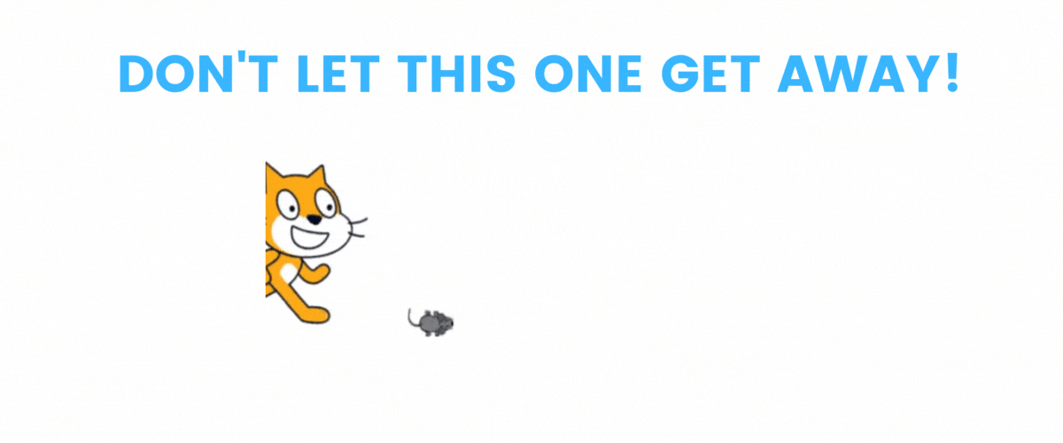 Term 2 programs.gif