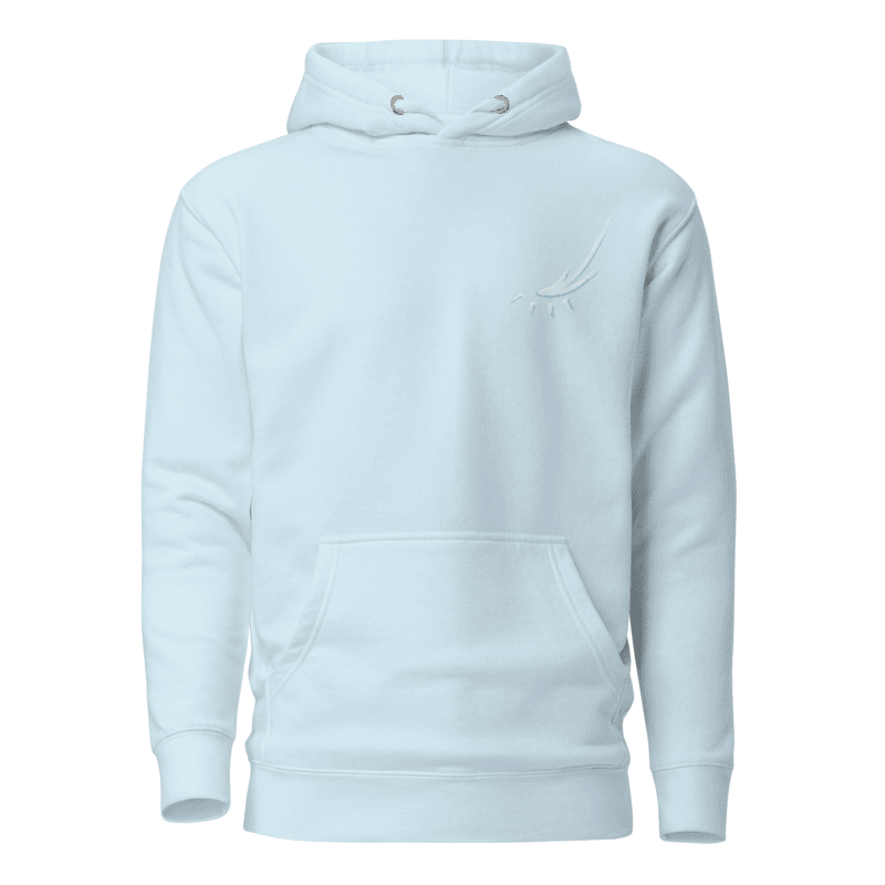 Light blue embroidered hoodie