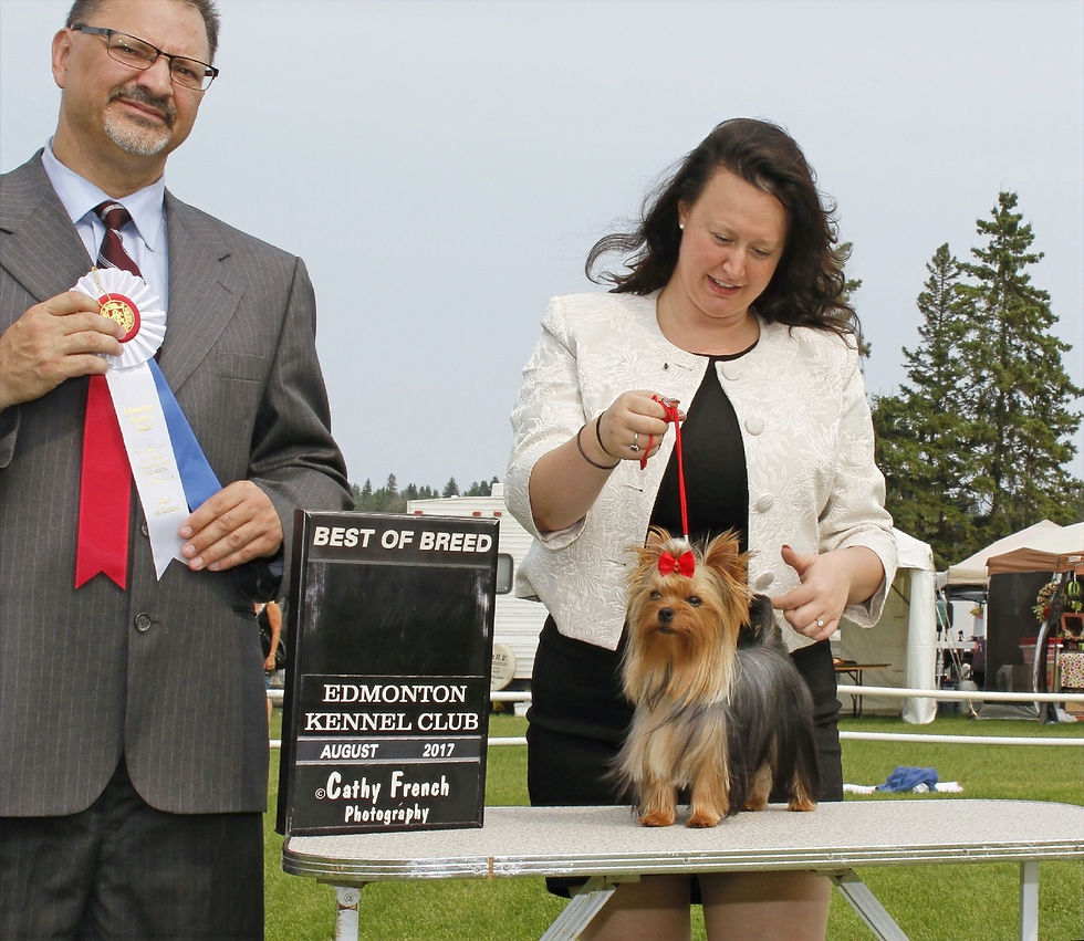 Katie - Canadian Champion