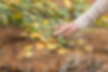 Renske Kleverwal Fotografie - 2025 november Praktijk in de luwte-136.jpg
