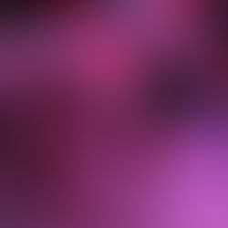 Итальянцы в Иркутске! Или Viva, Russia!