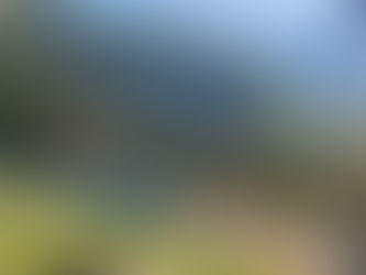 2019.11.09 바른로지스틱스 가을 산행