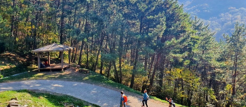 2019.11.09 바른로지스틱스 가을 산행