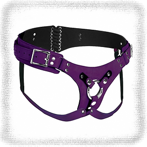Strap-on Harness