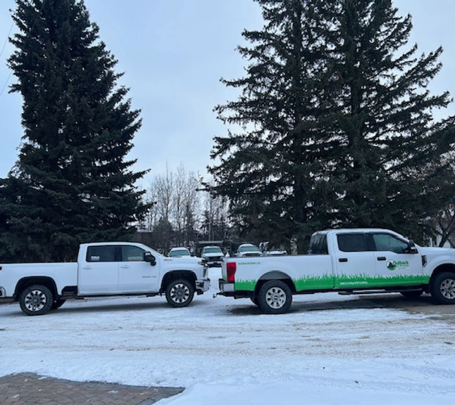 New Trucks.jpg