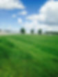 soccer field stripes.jpg